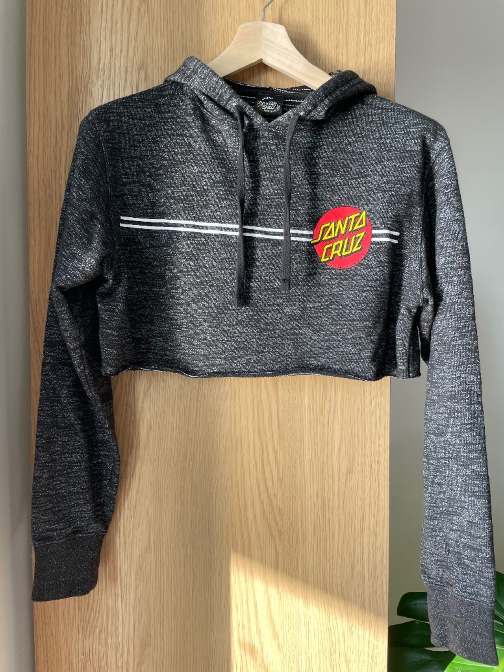 Santa Cruz Cropped Hooded Sweatshirt